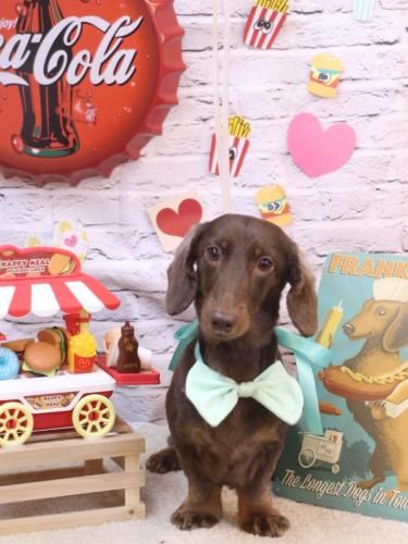 20230920チョペくん